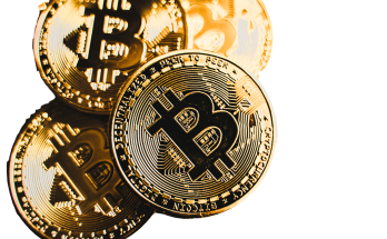 Which Crypto Will Make the Most Millionaires This Cycle 2026?